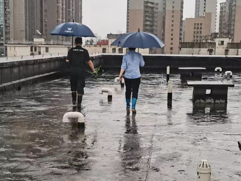 625867ae6e73c92aec0be4b890e2fd67-sz_648129.jpg 625867ae6e73c92aec0be4b890e2fd67-sz_648129.jpg