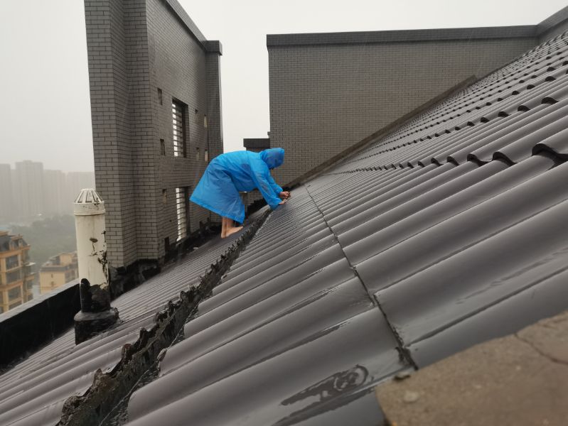 086f5eaa97103e488dff9ca91eefd77a-sz_3634373.jpg 086f5eaa97103e488dff9ca91eefd77a-sz_3634373.jpg