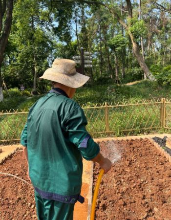 fd2197dbb0cd1e516bf80350739d8d36-sz_2042669.jpg fd2197dbb0cd1e516bf80350739d8d36-sz_2042669.jpg