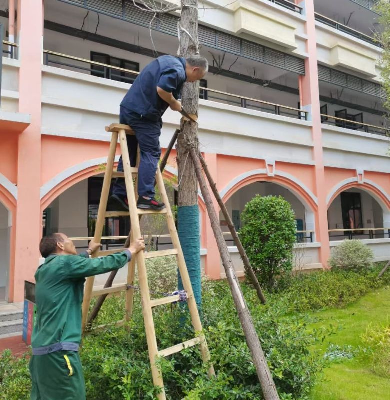 ec13eeaa59807abc3e4749e2fc65e603-sz_955004 (1).jpg