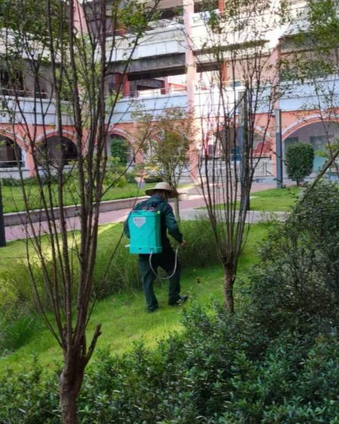 dfe213b4534b618cc50bfda79c7f0724-sz_1246238 (1).jpg